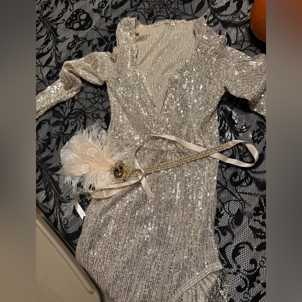 Sequin Long Sleeve Dress with Feather Detail